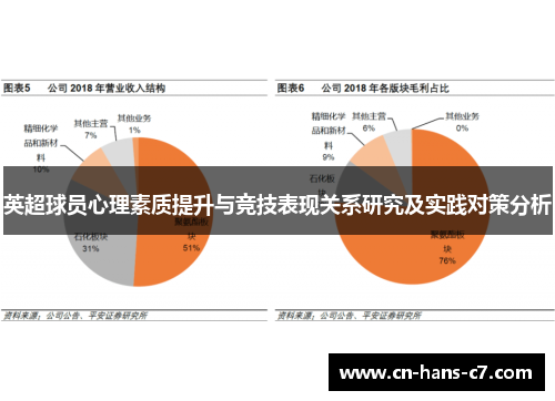 英超球员心理素质提升与竞技表现关系研究及实践对策分析 英超球员心理素质提升与竞技表现关系研究及实践对策分析