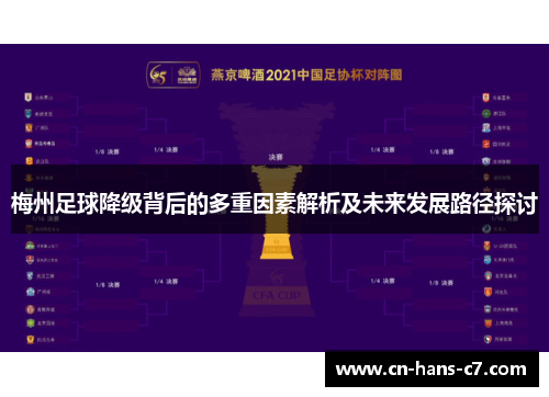 梅州足球降级背后的多重因素解析及未来发展路径探讨