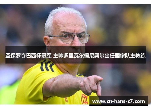 圣保罗夺巴西杯冠军 主帅多里瓦尔儒尼奥尔出任国家队主教练 圣保罗夺巴西杯冠军 主帅多里瓦尔儒尼奥尔出任国家队主教练